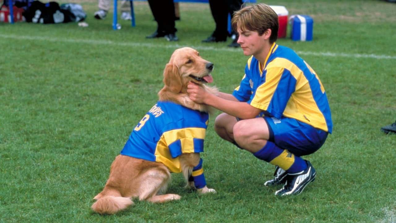 Кадр з фільму Король повітря: Ліга чемпіонів (2001)