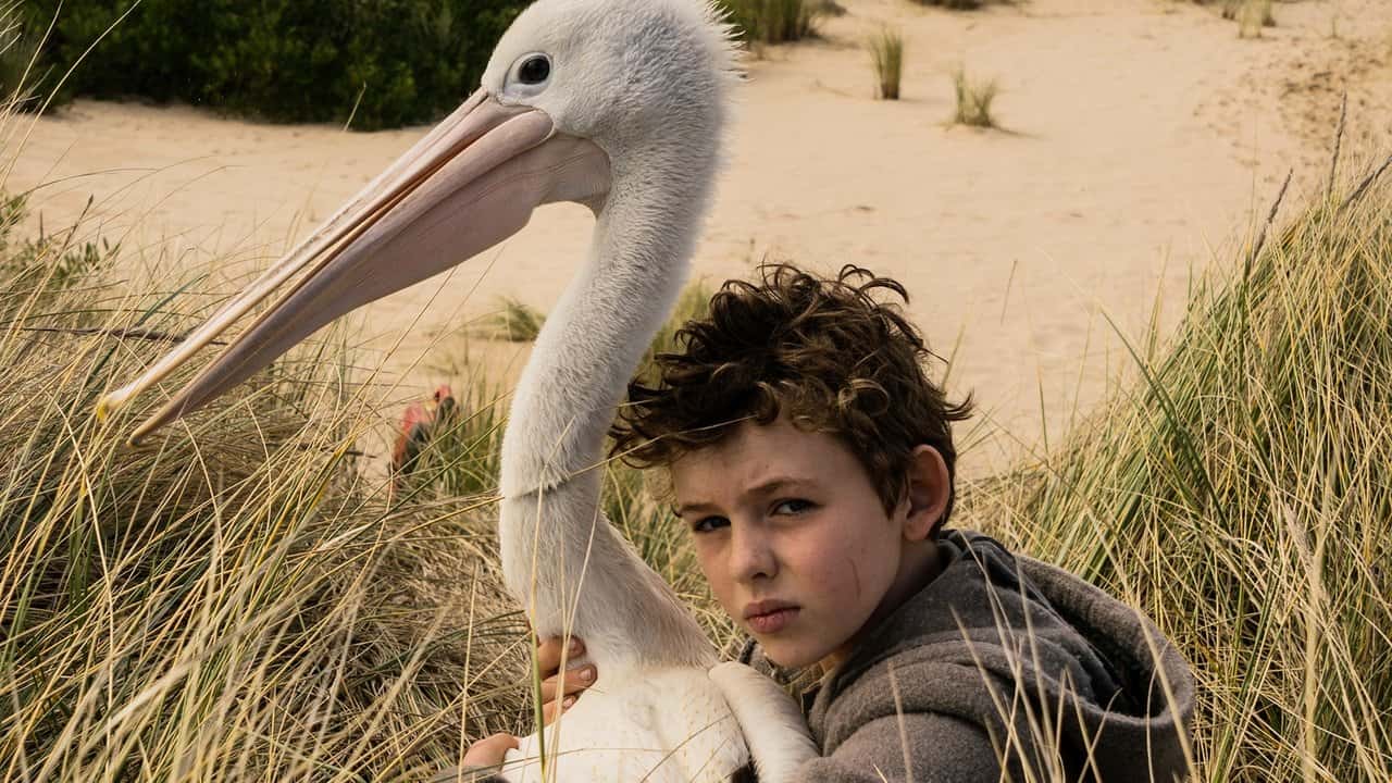 Кадр з фільму Мій друг містер Персіваль (2019)