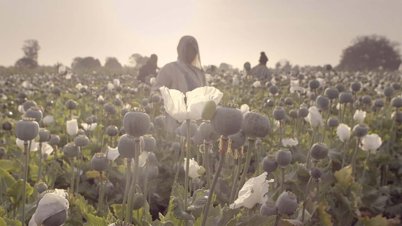 Кадр із серіалу Злочин століття (2021)