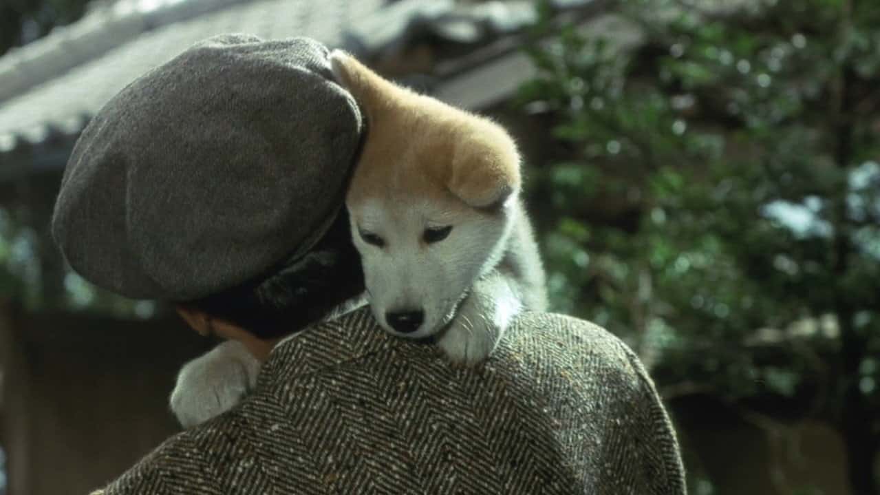 Кадр з фільму Хачіко / Історія Хачіко (1987)
