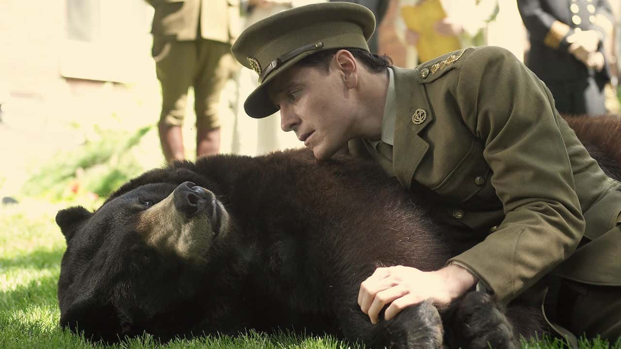 Кадр з фільму Ведмедик на ім'я Вінні / Ведмежа на ім'я Вінні (2004)