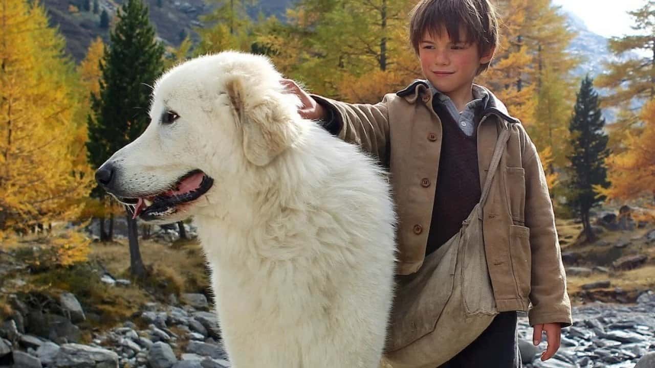Кадр з фільму Белль і Себастьян (2013)