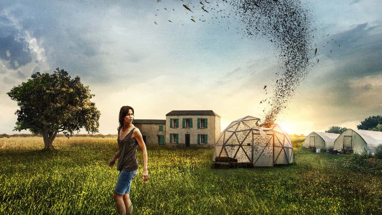 Кадр з фільму Рій (2021)