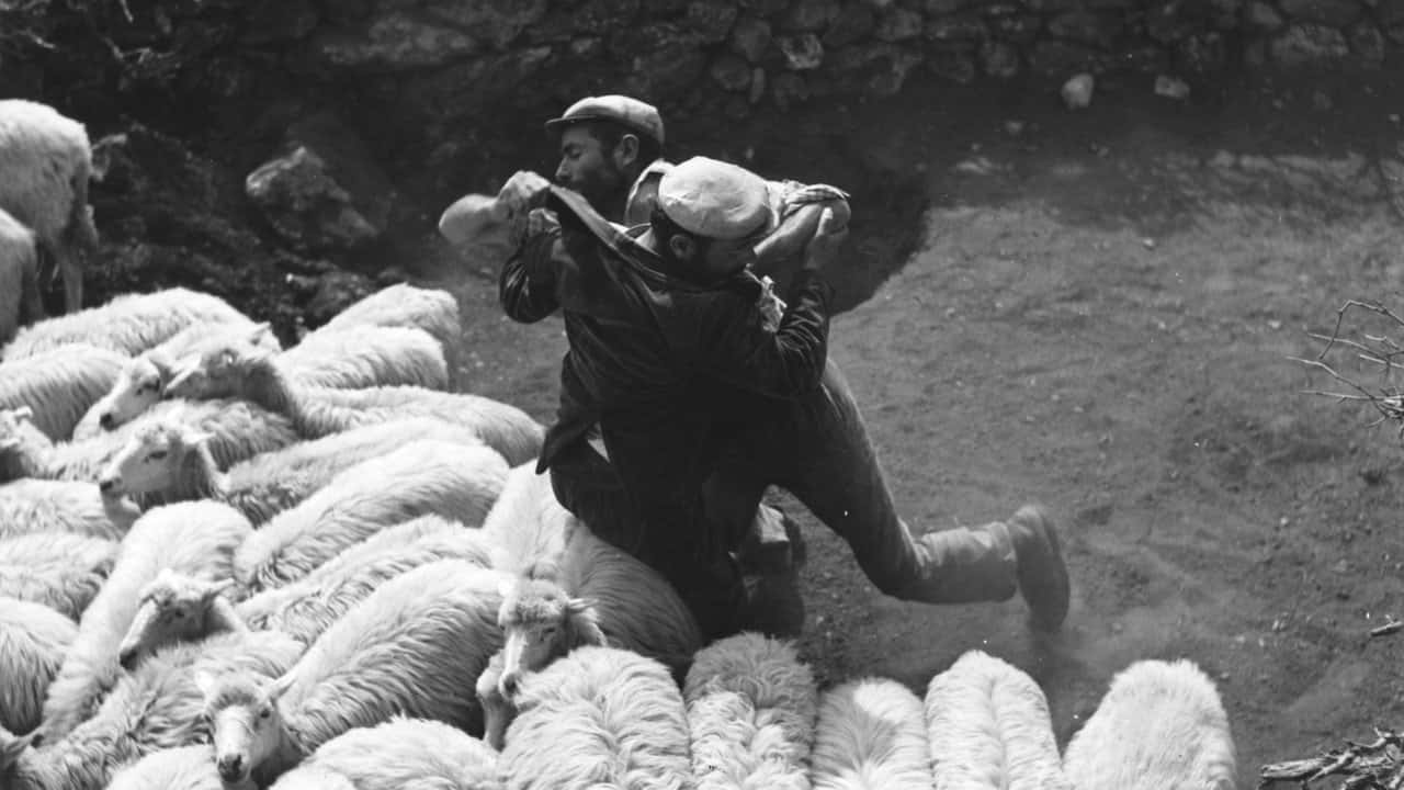 Кадр з фільму Бандити з Орґозоло (1961)