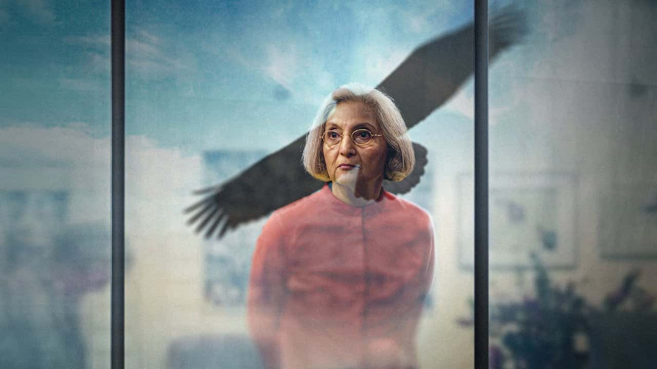 Кадр з фільму У пошуках Шили (2021)