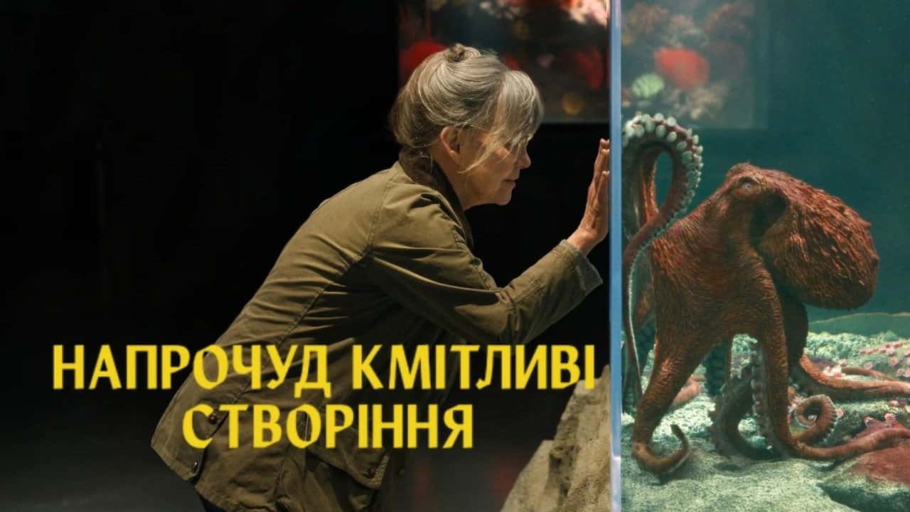 Кадр з фільму Напрочуд кмітливі створіння (2026)