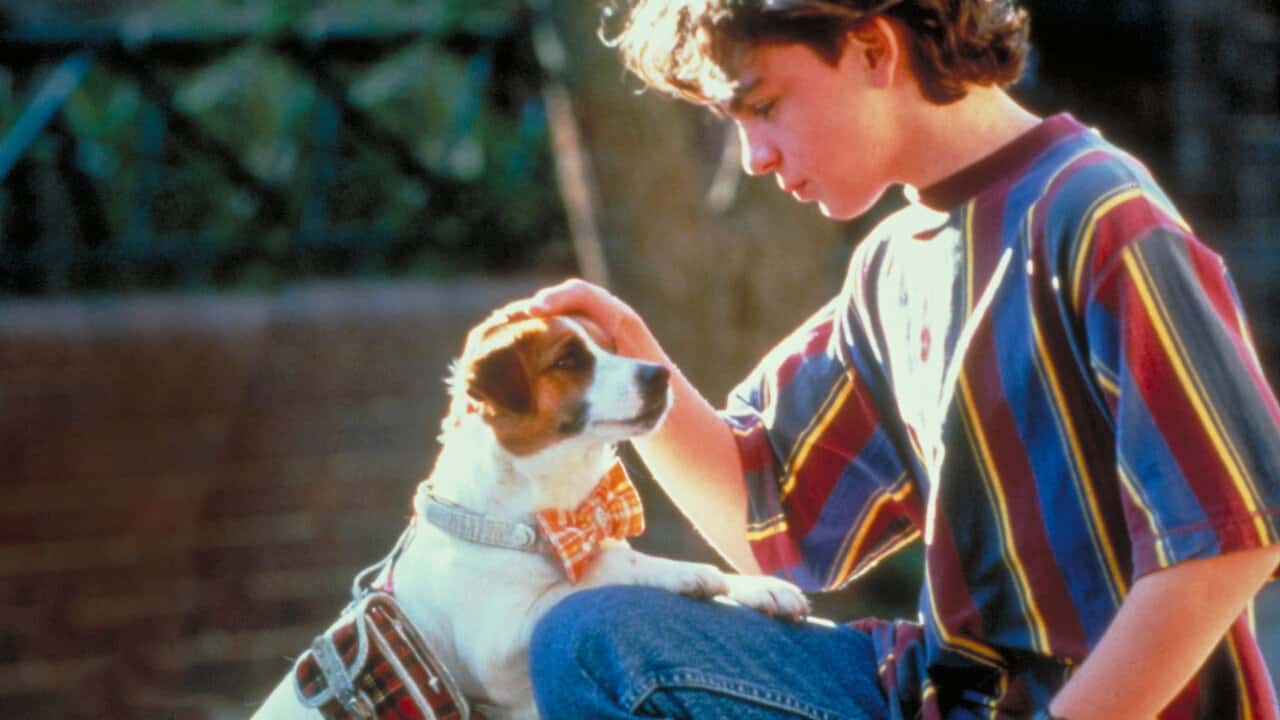 Кадр з фільму Лапи (1997)