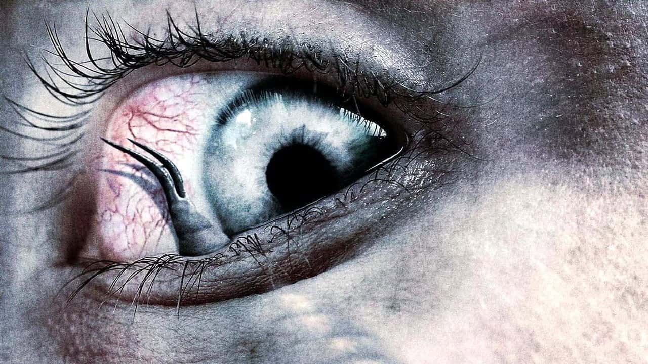 Кадр з фільму Вирощування (2010)
