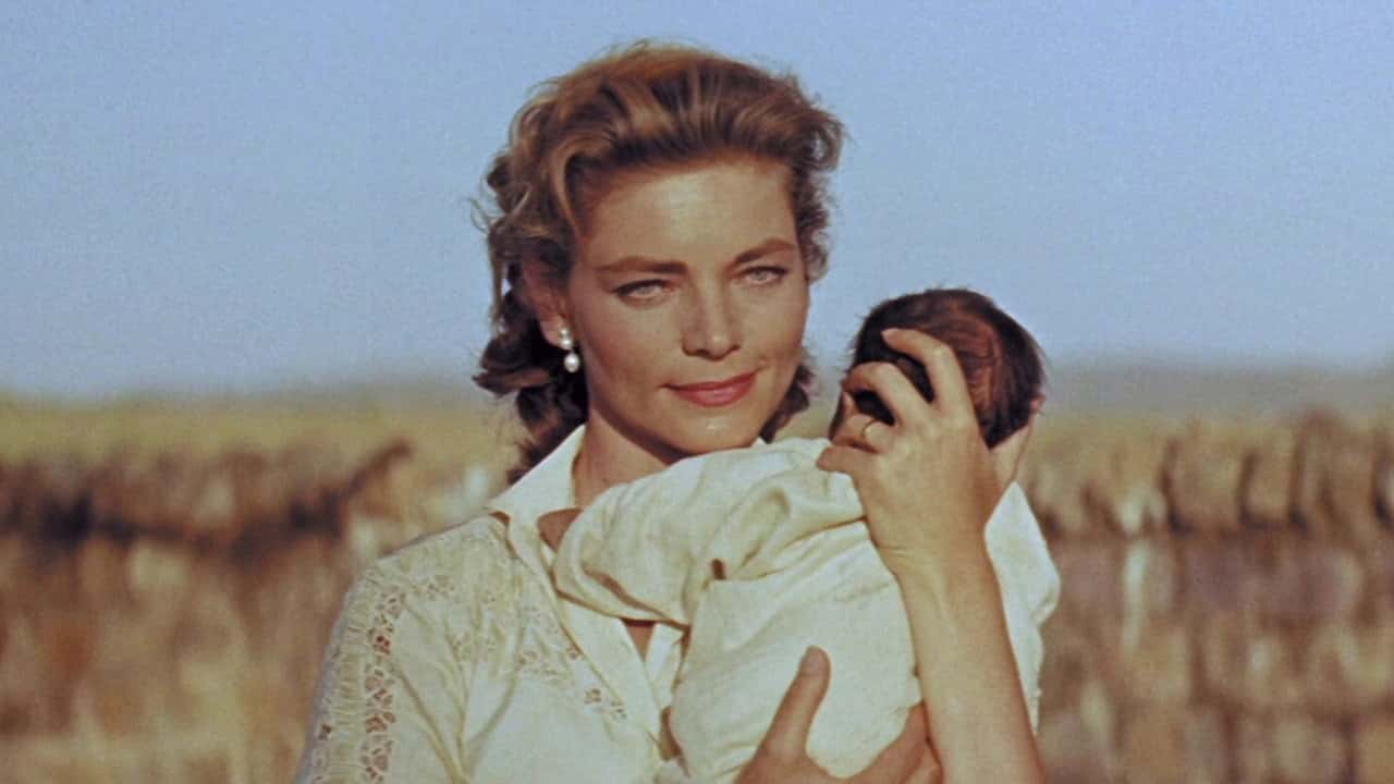 Кадр з фільму Північно-західний кордон (1959)