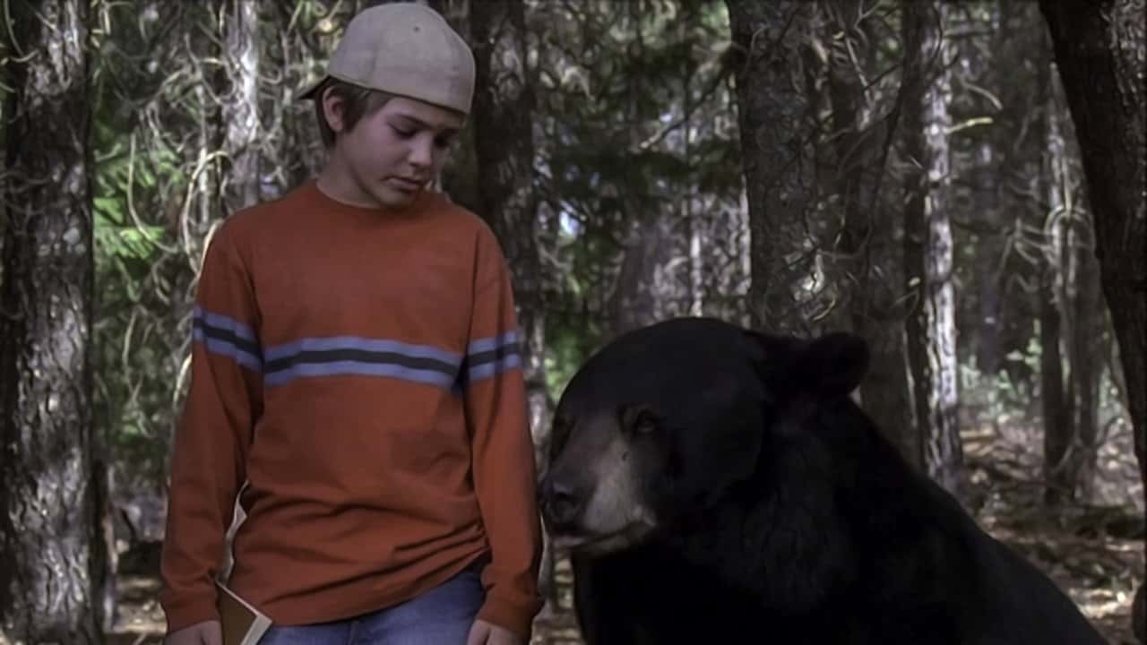Кадр з фільму Лагідний Бен / Хазяїн гори (2002)