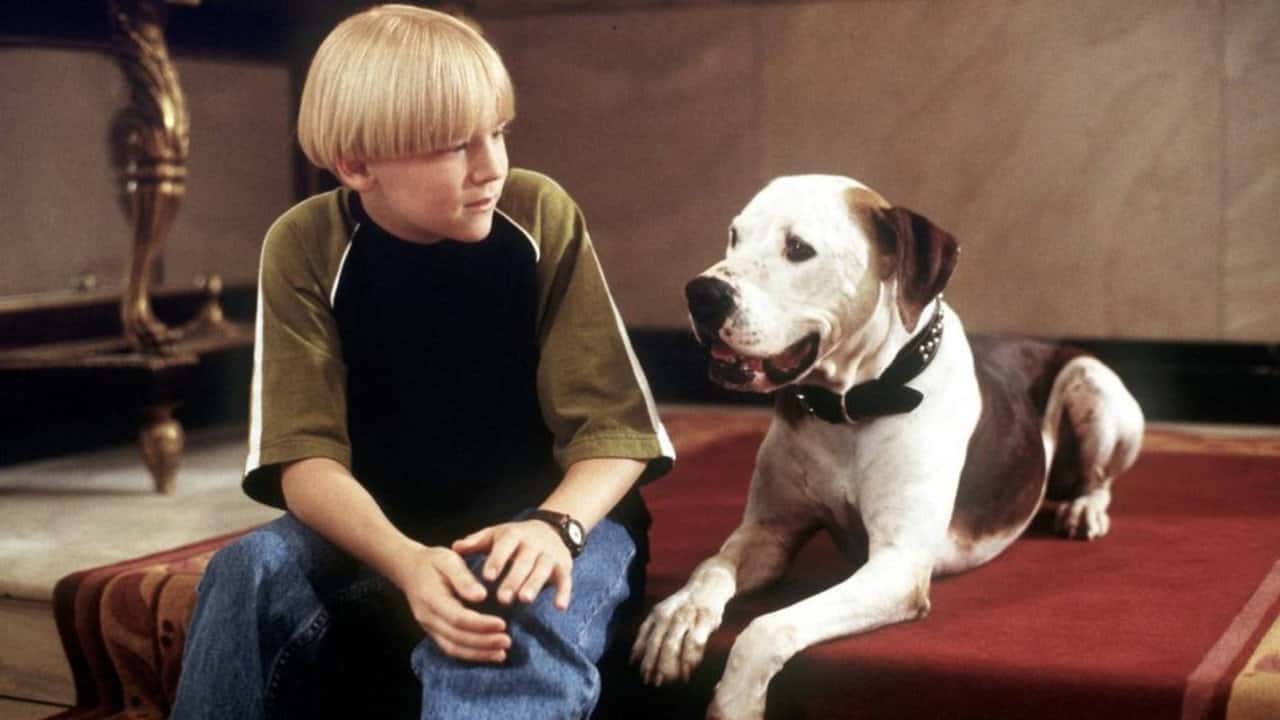 Кадр з фільму Пес і жебрак (2000)