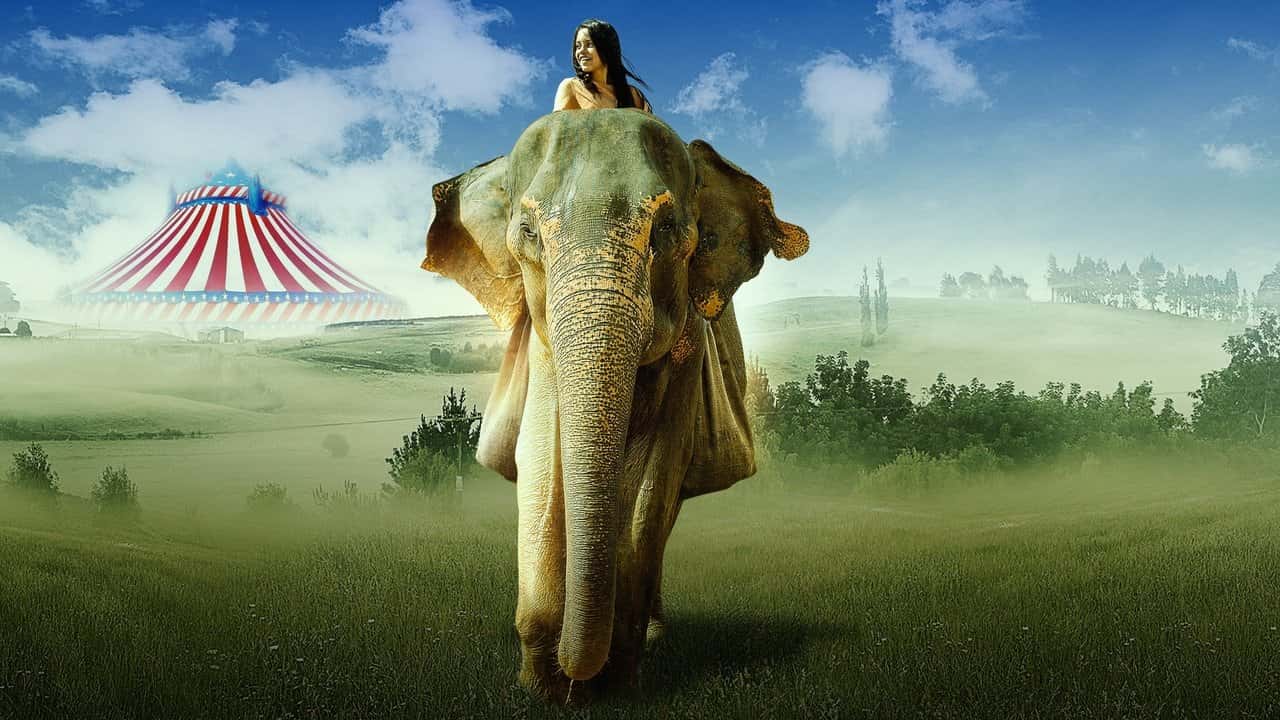 Кадр з фільму Втеча з Фіоною (2019)