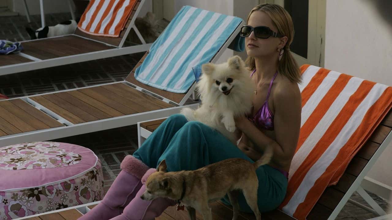 Кадр з фільму Собача проблема (2006)