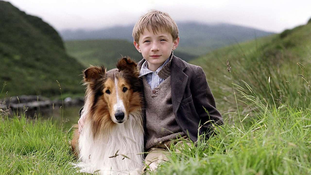 Кадр з фільму Лессі (2005)