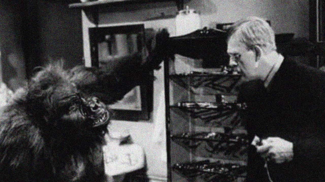 Кадр з фільму Мавпа (1940)