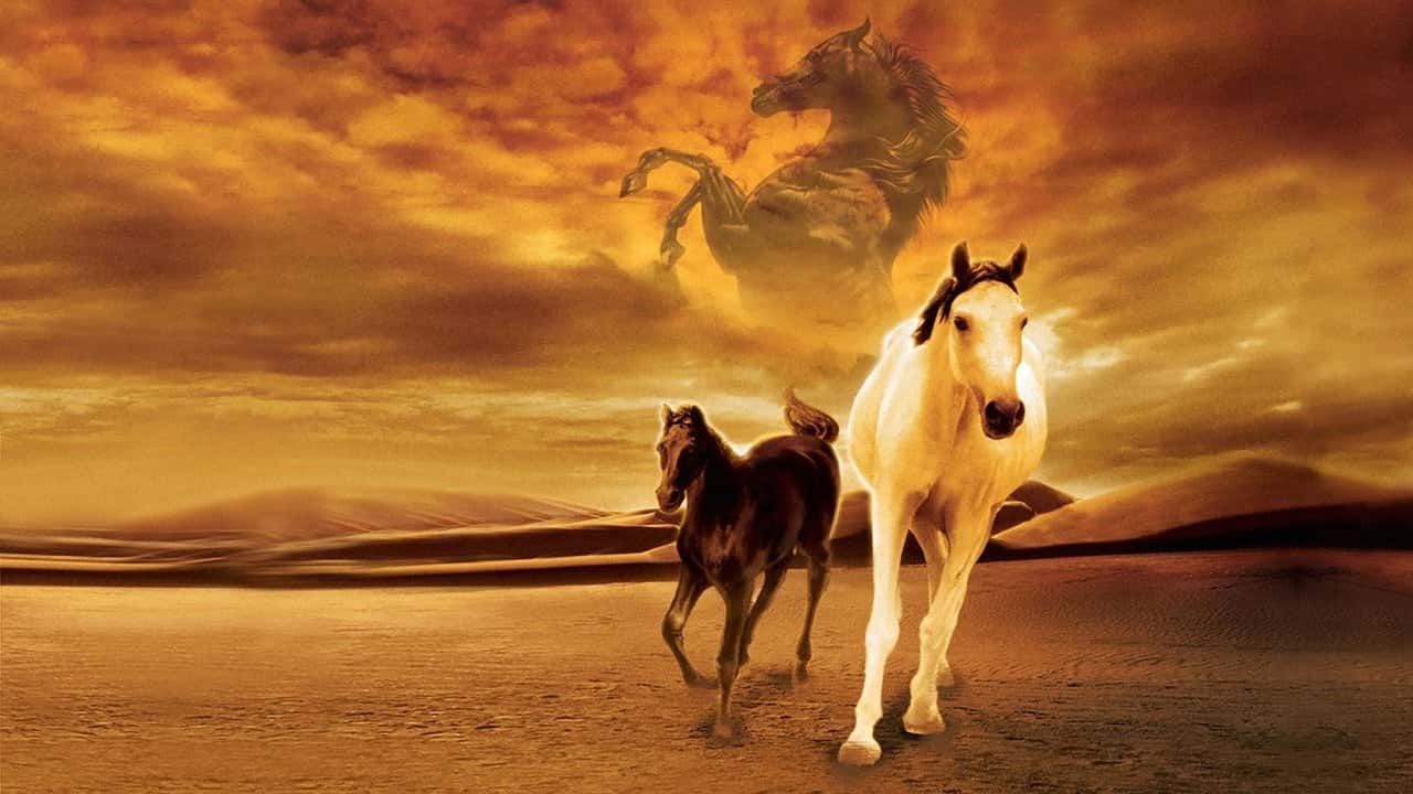 Кадр з фільму Народжений у пісках (2003)