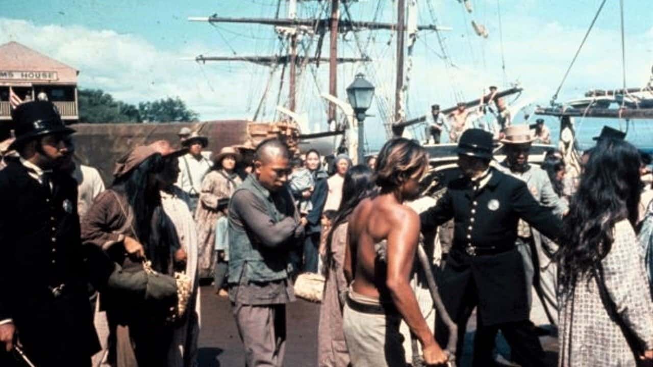 Кадр з фільму Гавайці (1970)