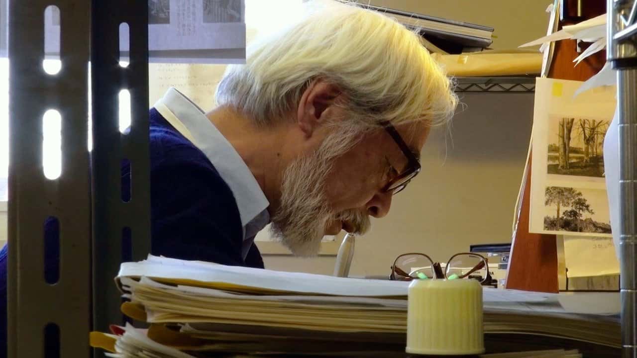 Кадр з фільму Королівство мрій та безумства (2013)