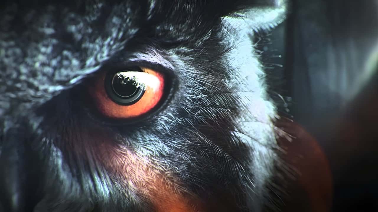 Кадр із серіалу Код 100 (2015)