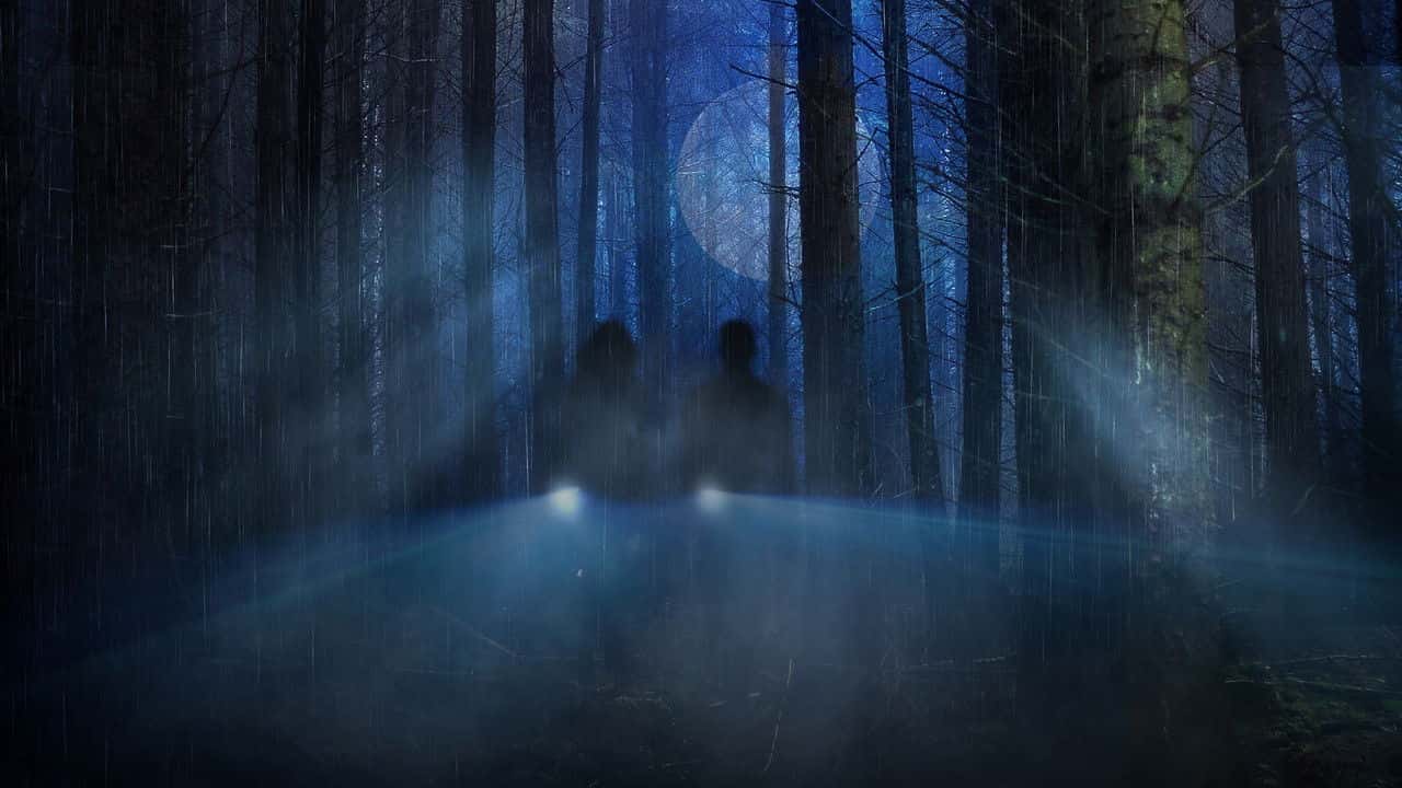 Кадр з фільму Доісторичний хижак (2022)
