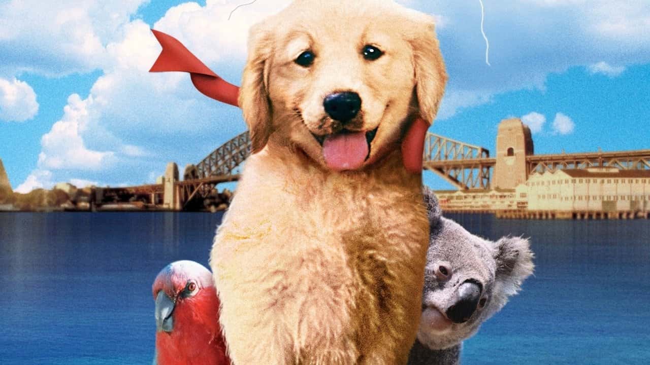 Кадр з фільму Наполеон (1995)