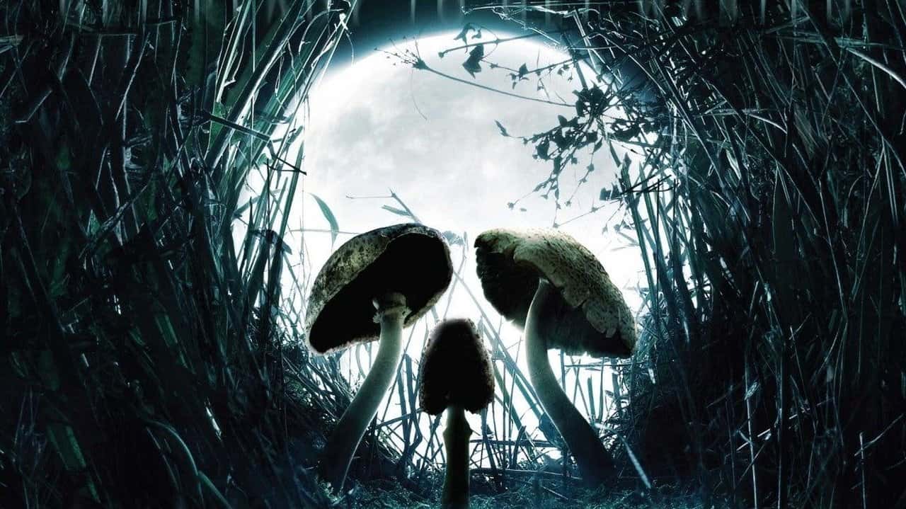 Кадр з фільму Гриби (2007)