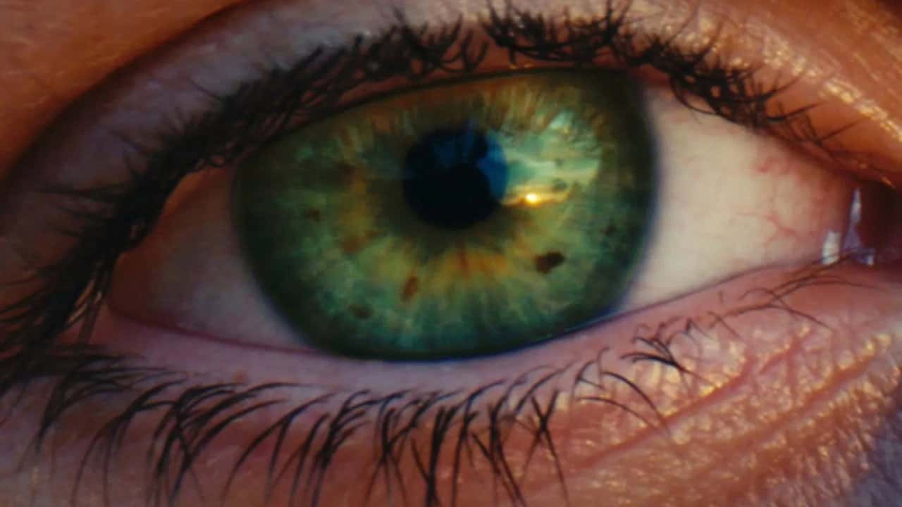 Кадр з фільму У пошуках світла (2025)