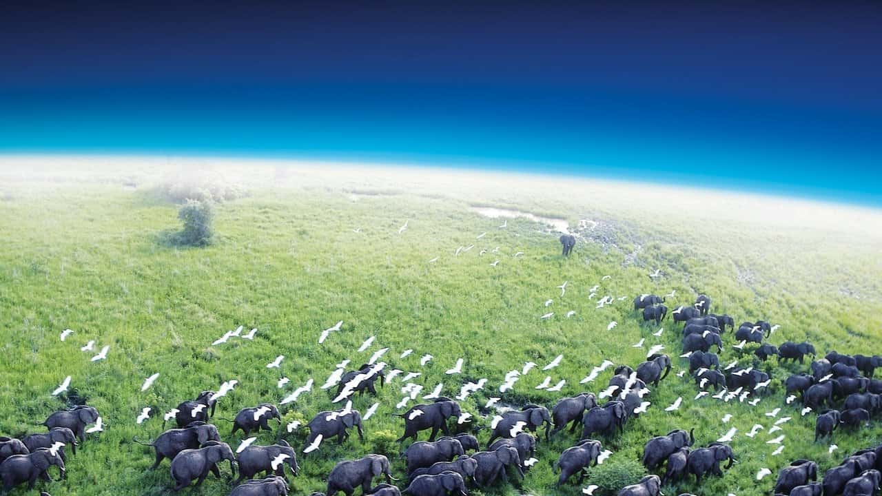 Кадр із серіалу Планета Земля (2006)
