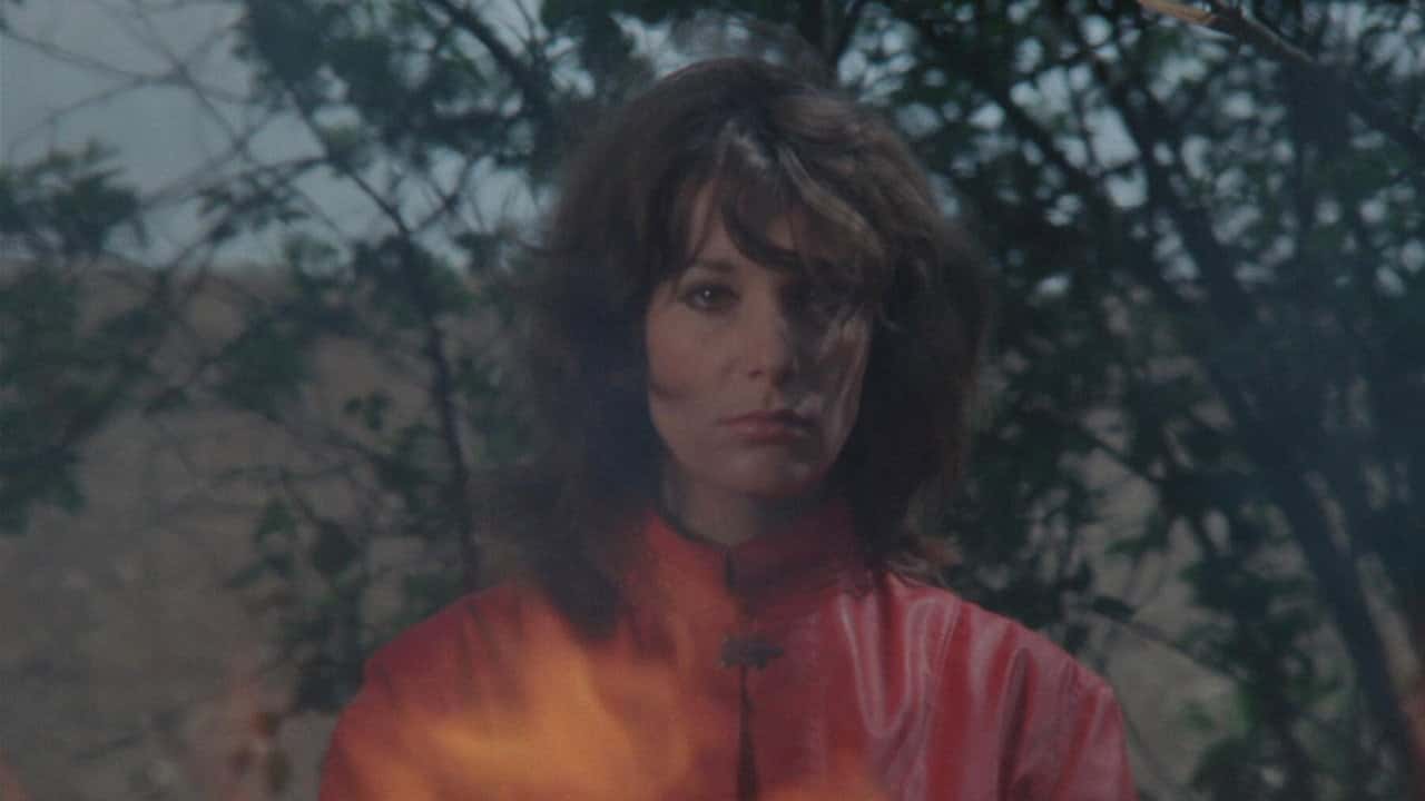 Кадр з фільму Наречена пірата (1969)