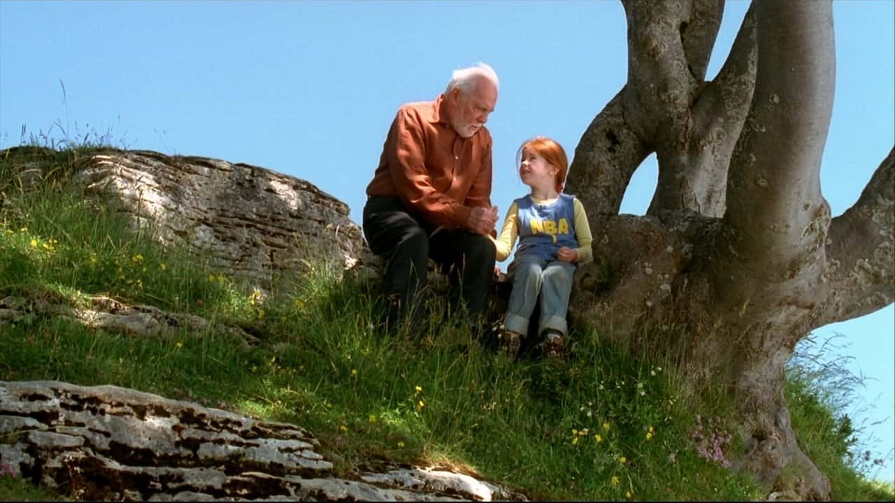 Кадр з фільму Метелик (2002)