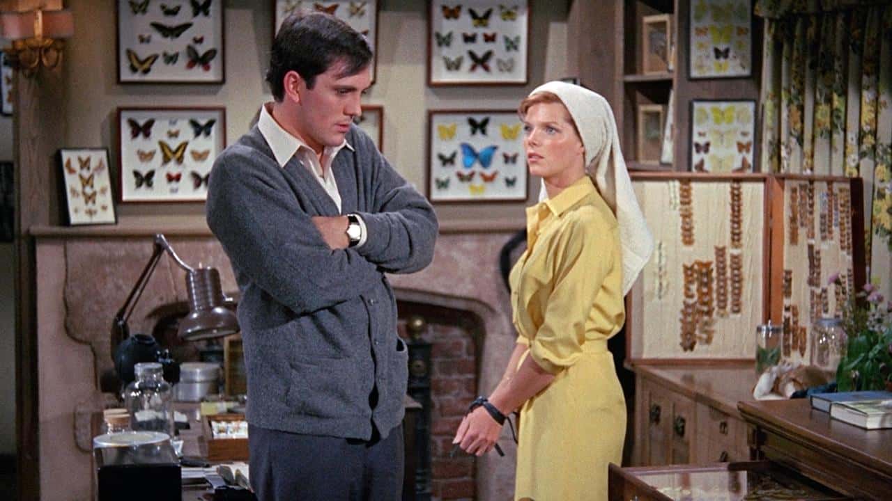 Кадр з фільму Колекціонер (1965)