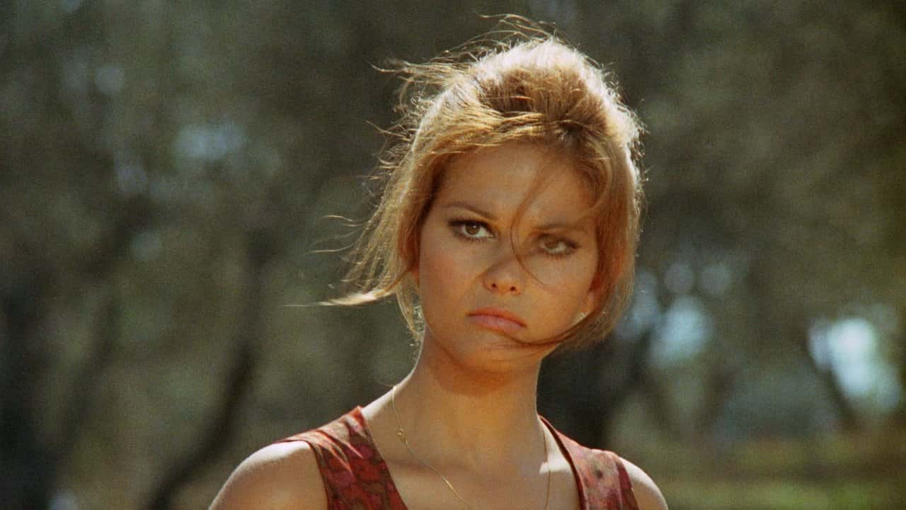 Кадр з фільму День сови / Година сови (1968)