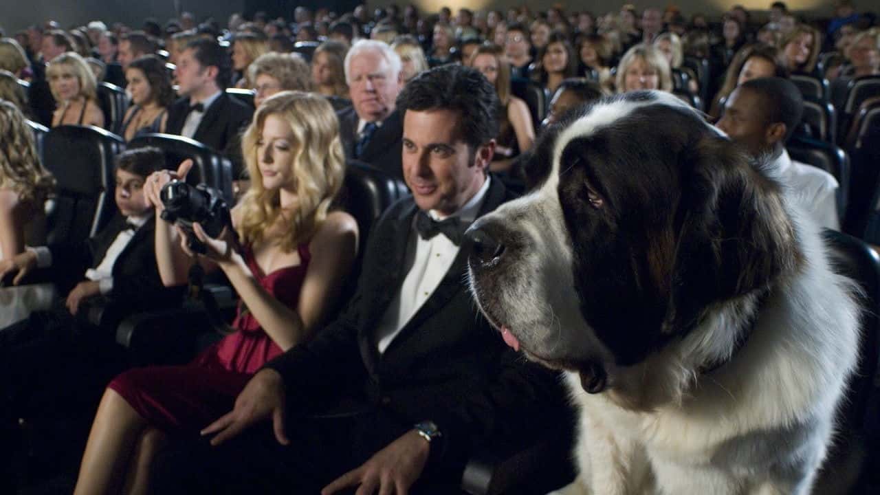 Кадр з фільму Бетховен 6 (2008)