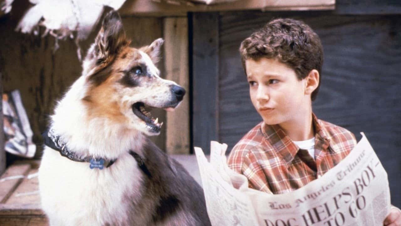 Кадр із серіалу 100 добрих вчинків Едді МакДауда (1999)