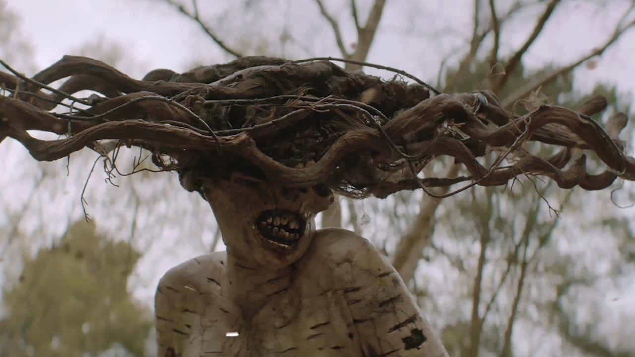 Кадр з фільму Береза (2016)