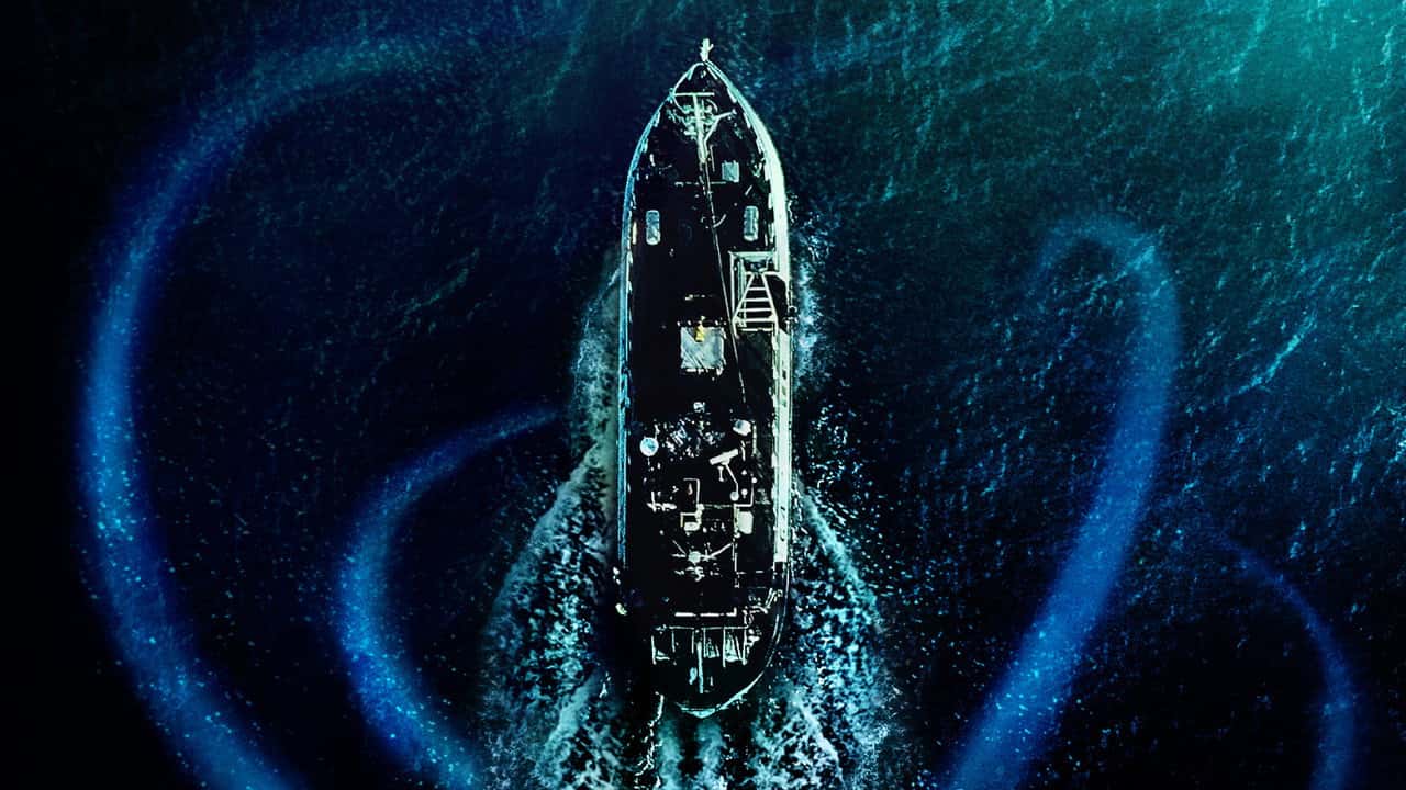 Кадр з фільму Морські паразити (2020)