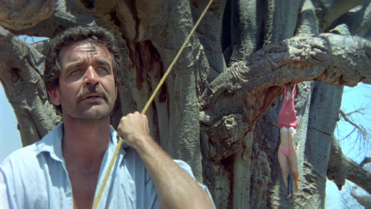 Кадр з фільму Мабуть боги з'їхали з глузду ІІ (1989)