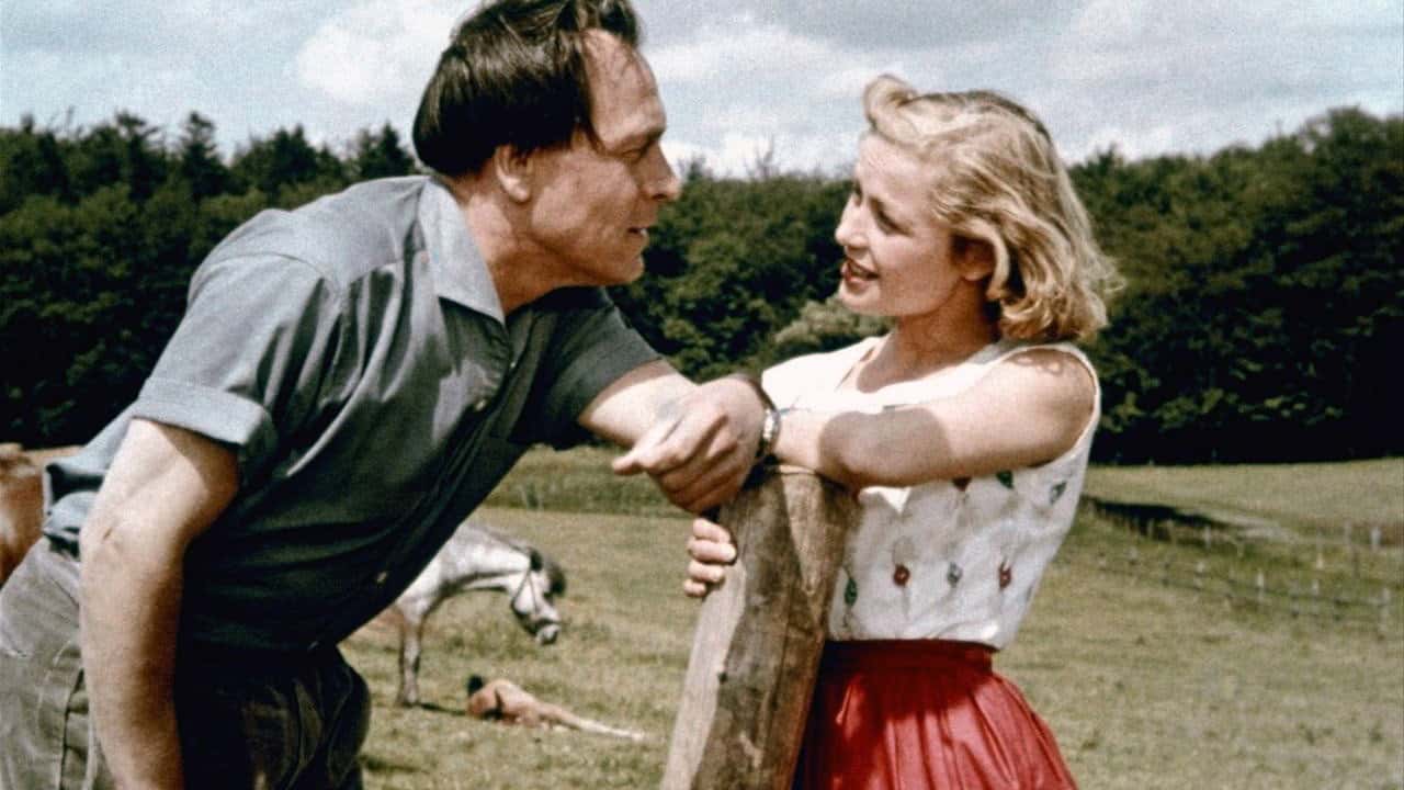 Кадр з фільму Hochzeit auf Immenhof (1956)