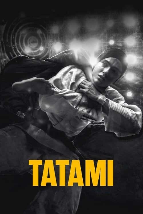 Татамі