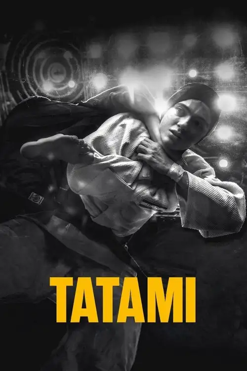 Татамі