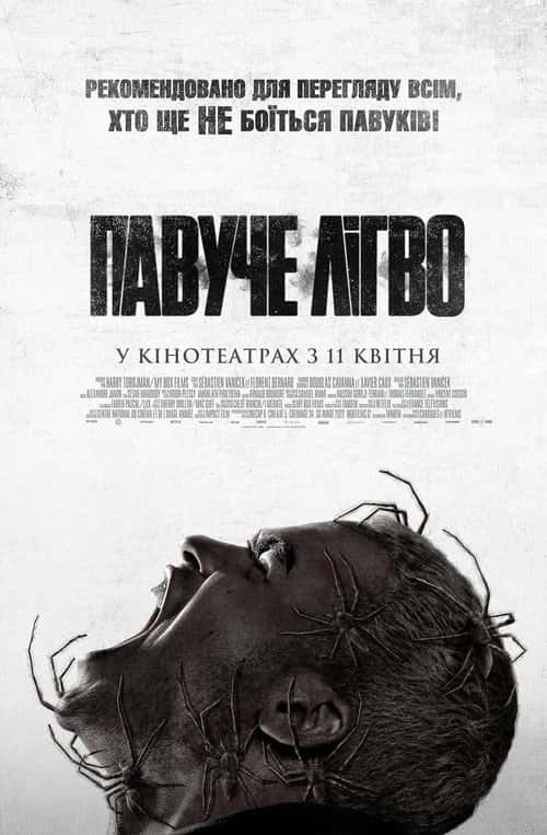 Павуче лігво