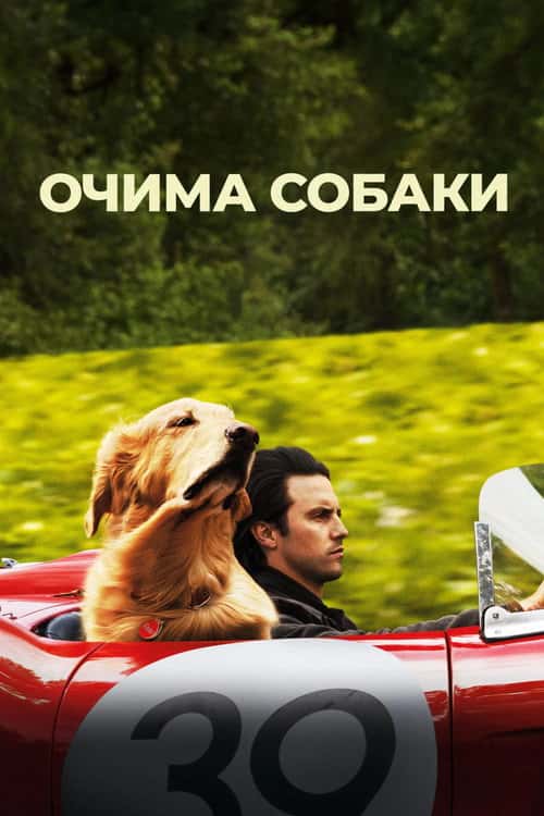 Очима собаки