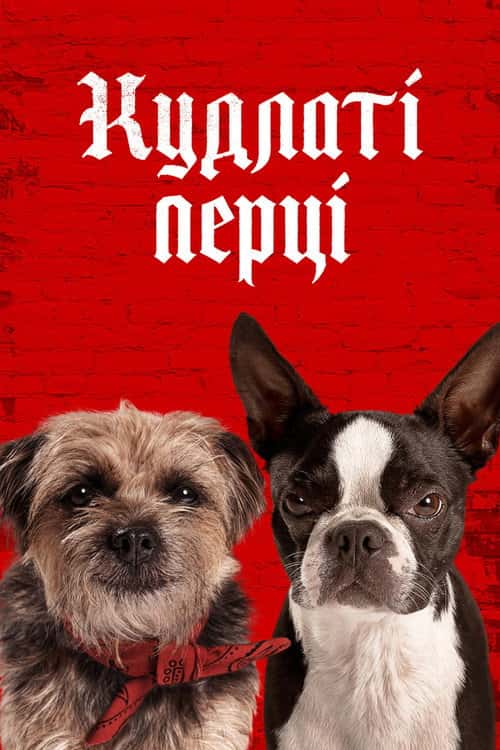 Кудлаті перці / Бродяги