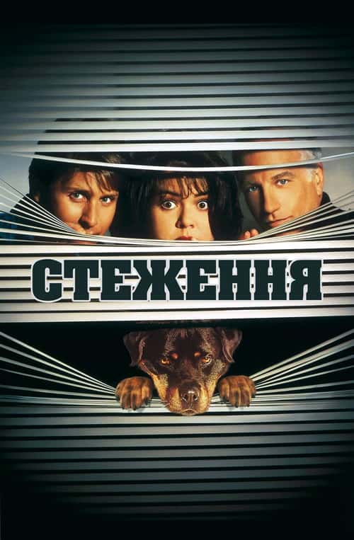 Стеження 2