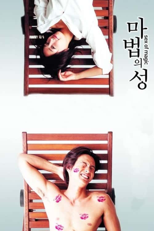 마법의 성