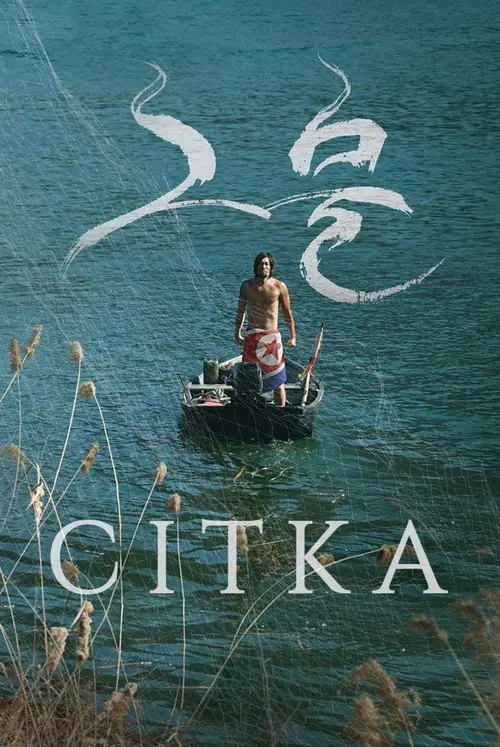 Сітка