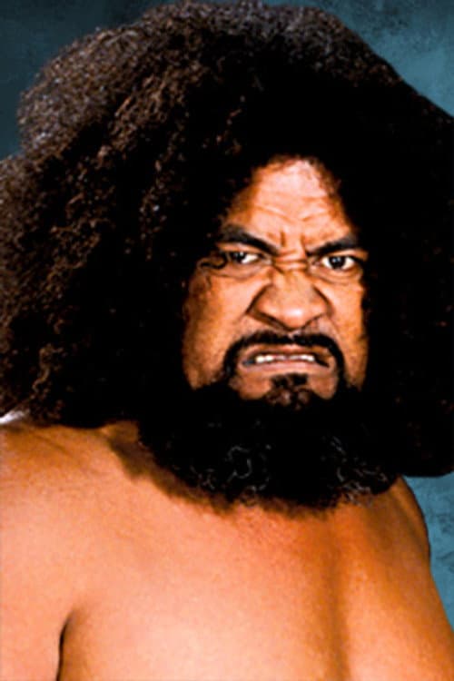 Afa Anoa'i photo
