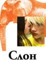 Слон