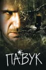 Павук