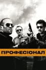 Професіонал